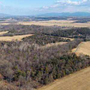Photo #5 of Lot 8 PROMISE LN, STANLEY, VA 6.3 acres