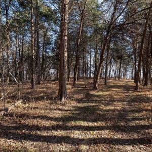 Photo #2 of Lot 8 PROMISE LN, STANLEY, VA 6.3 acres