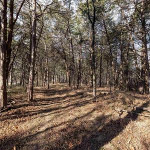 Photo #10 of Lot 8 PROMISE LN, STANLEY, VA 6.3 acres