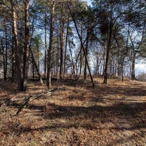 Photo #11 of Lot 8 PROMISE LN, STANLEY, VA 6.3 acres