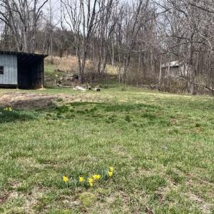 Photo #24 of 1099 BROADHEAD SCHOOL RD, GREENVILLE, VA 3.1 acres