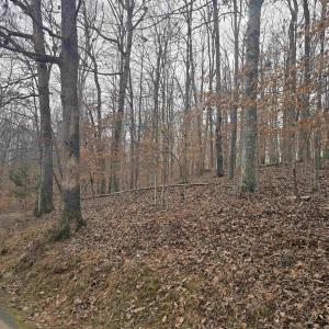 Photo #4 of BARRETT ST, PALMYRA, VA 3.7 acres