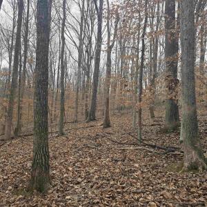 Photo #3 of BARRETT ST, PALMYRA, VA 3.7 acres