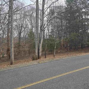Photo #1 of BARRETT ST, PALMYRA, VA 3.7 acres