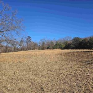 Photo #8 of 7 ac CASTLE ROCK RD, AFTON, VA 7.1 acres