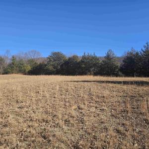 Photo #11 of 7 ac CASTLE ROCK RD, AFTON, VA 7.1 acres