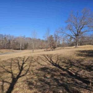 Photo #7 of 7 ac CASTLE ROCK RD, AFTON, VA 7.1 acres