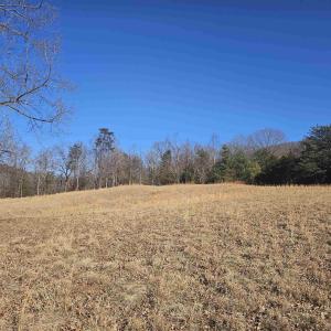 Photo #9 of 7 ac CASTLE ROCK RD, AFTON, VA 7.1 acres