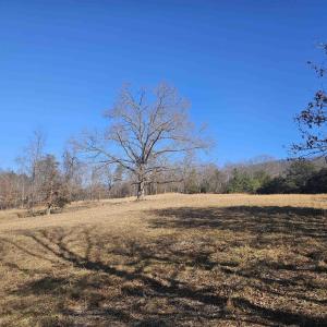 Photo #6 of 7 ac CASTLE ROCK RD, AFTON, VA 7.1 acres