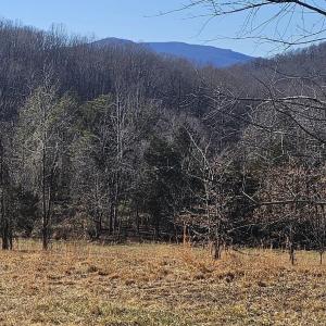 Photo #4 of 7 ac CASTLE ROCK RD, AFTON, VA 7.1 acres