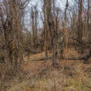 Photo #5 of SHORT CUT RD, STANLEY, VA 0.8 acres