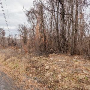 Photo #4 of SHORT CUT RD, STANLEY, VA 0.8 acres