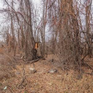 Photo #3 of SHORT CUT RD, STANLEY, VA 0.8 acres