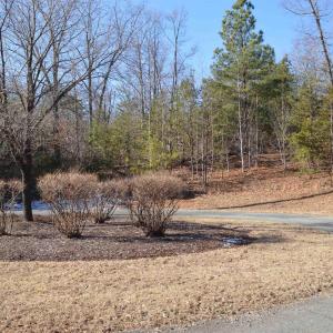 Photo #1 of FRAYS RIDGE CT, EARLYSVILLE, VA 21.0 acres