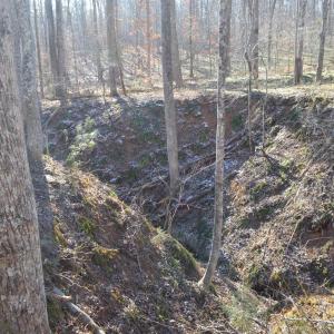 Photo #16 of FRAYS RIDGE CT, EARLYSVILLE, VA 21.0 acres