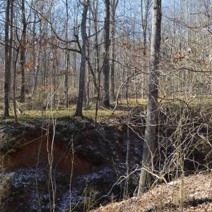 Photo #14 of FRAYS RIDGE CT, EARLYSVILLE, VA 21.0 acres