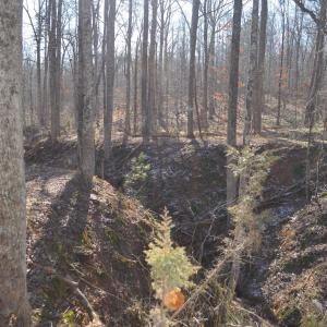 Photo #8 of FRAYS RIDGE CT, EARLYSVILLE, VA 21.0 acres
