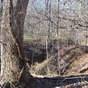 Photo #9 of FRAYS RIDGE CT, EARLYSVILLE, VA 21.0 acres