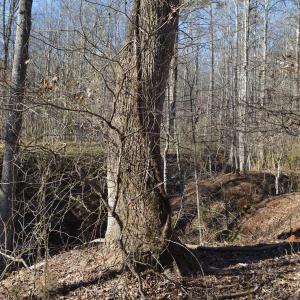 Photo #13 of FRAYS RIDGE CT, EARLYSVILLE, VA 21.0 acres