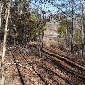 Photo #4 of FRAYS RIDGE CT, EARLYSVILLE, VA 21.0 acres