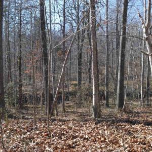 Photo #6 of FRAYS RIDGE CT, EARLYSVILLE, VA 21.0 acres