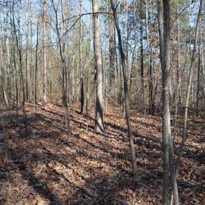 Photo #17 of FRAYS RIDGE CT, EARLYSVILLE, VA 21.0 acres