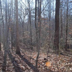 Photo #7 of FRAYS RIDGE CT, EARLYSVILLE, VA 21.0 acres