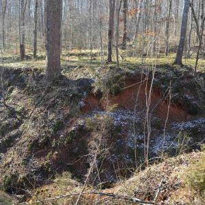 Photo #15 of FRAYS RIDGE CT, EARLYSVILLE, VA 21.0 acres