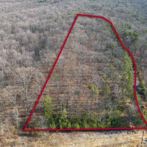 Photo #7 of FLEMING PARK RD, MOUNT JACKSON, VA 4.7 acres