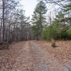 Photo #12 of FLEMING PARK RD, MOUNT JACKSON, VA 4.7 acres