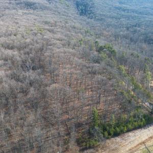 Photo #6 of FLEMING PARK RD, MOUNT JACKSON, VA 4.7 acres