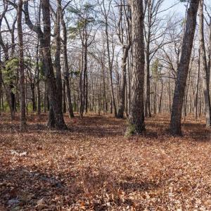 Photo #17 of FLEMING PARK RD, MOUNT JACKSON, VA 4.7 acres
