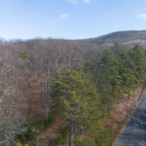 Photo #29 of FLEMING PARK RD, MOUNT JACKSON, VA 4.7 acres