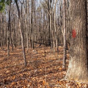 Photo #14 of FLEMING PARK RD, MOUNT JACKSON, VA 4.7 acres