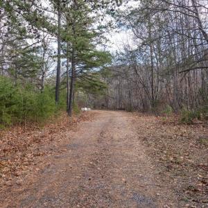 Photo #11 of FLEMING PARK RD, MOUNT JACKSON, VA 4.7 acres