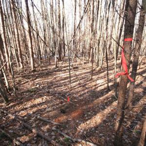 Photo #22 of TBA SLATE RIVER MILL RD, BUCKINGHAM, VA 2.0 acres