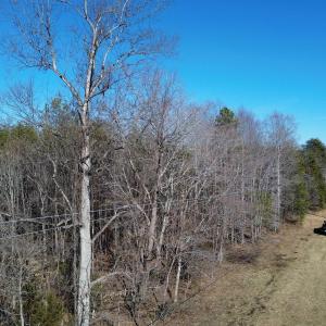 Photo #2 of TBA SLATE RIVER MILL RD, BUCKINGHAM, VA 2.0 acres