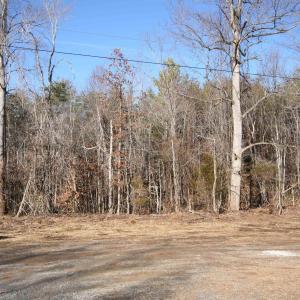 Photo #15 of TBA SLATE RIVER MILL RD, BUCKINGHAM, VA 2.0 acres