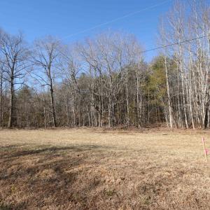Photo #17 of TBA SLATE RIVER MILL RD, BUCKINGHAM, VA 2.0 acres