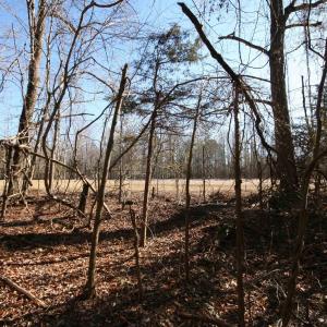 Photo #28 of TBA SLATE RIVER MILL RD, BUCKINGHAM, VA 2.0 acres