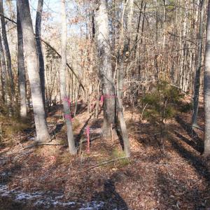 Photo #11 of TBA SLATE RIVER MILL RD, BUCKINGHAM, VA 2.0 acres