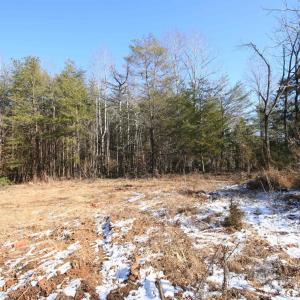 Photo #27 of TBA SLATE RIVER MILL RD, BUCKINGHAM, VA 2.2 acres