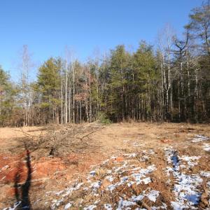 Photo #28 of TBA SLATE RIVER MILL RD, BUCKINGHAM, VA 2.2 acres