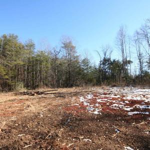 Photo #24 of TBA SLATE RIVER MILL RD, BUCKINGHAM, VA 2.2 acres