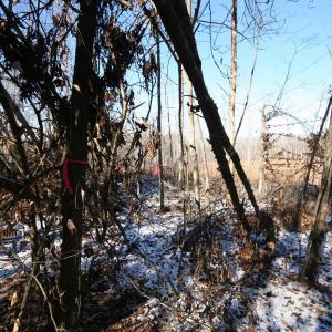 Photo #18 of TBA SLATE RIVER MILL RD, BUCKINGHAM, VA 2.2 acres