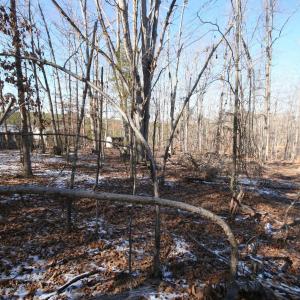 Photo #20 of TBA SLATE RIVER MILL RD, BUCKINGHAM, VA 2.2 acres