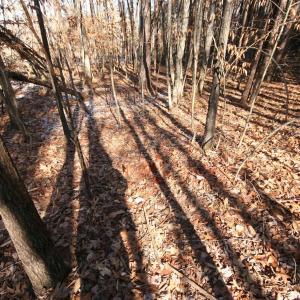 Photo #22 of TBA SLATE RIVER MILL RD, BUCKINGHAM, VA 2.2 acres