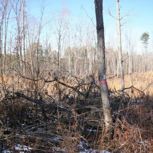 Photo #19 of TBA SLATE RIVER MILL RD, BUCKINGHAM, VA 2.2 acres