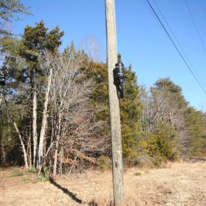 Photo #9 of TBA SLATE RIVER MILL RD, BUCKINGHAM, VA 2.2 acres