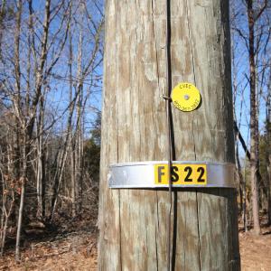 Photo #10 of TBA SLATE RIVER MILL RD, BUCKINGHAM, VA 2.2 acres